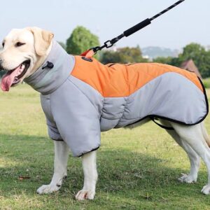 Winter Dog Coats