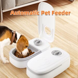 pet automatic feeder