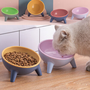elevated bowl for cats