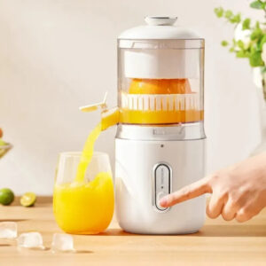 Portable Juicer